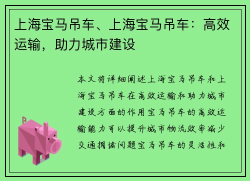 上海宝马吊车、上海宝马吊车：高效运输，助力城市建设